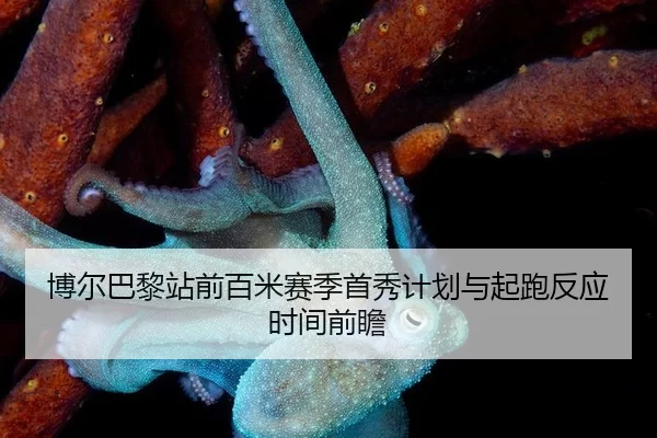 博尔巴黎站前百米赛季首秀计划与起跑反应时间前瞻